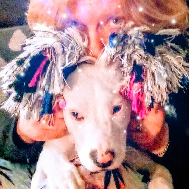 Lilly joined the competition — help win amazing prizes! art, canidae, carnivore, companion_dog, dog_breed, event, eyelash, fashion_accessory, fawn, fun, fur, happy, livestock, magenta, paint, pink, selfie, snout, whiskers, working_animal