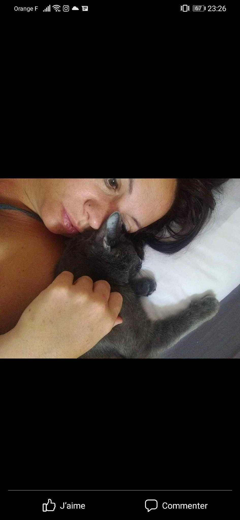 Bahia participe au concours pour gagner de l'argent avec cette photo : beard, black_hair, carnivore, cat, comfort, eyelash, fawn, felidae, finger, gesture, hand, happy, iris, jaw, mouth, nail, skin, small_to_medium_sized_cats, thumb, whiskers