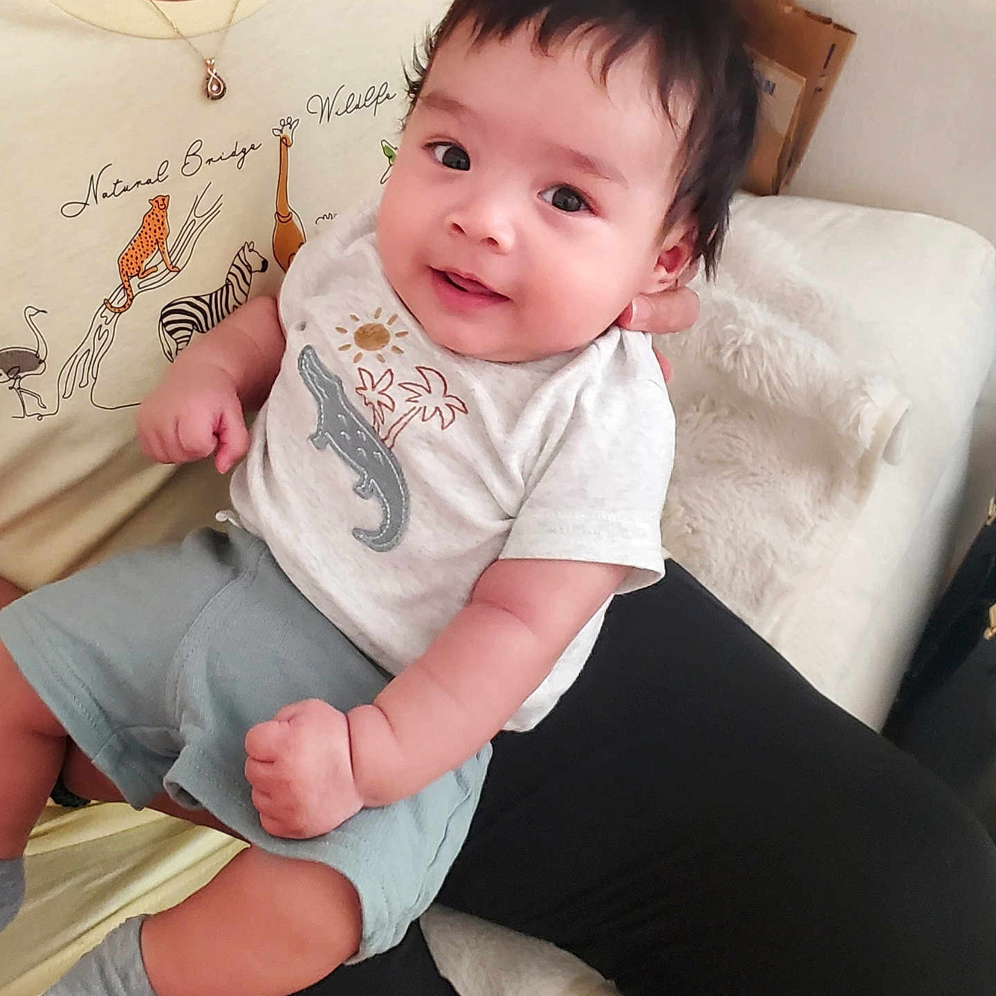 Leonidas joined the competition — help win amazing prizes! adult, animal_print, baby, black_hair, blanket, child, clothing, couch, cute, face, hand, indoor, infant, necklace, person, shirt, shorts, sitting, skin, smiling