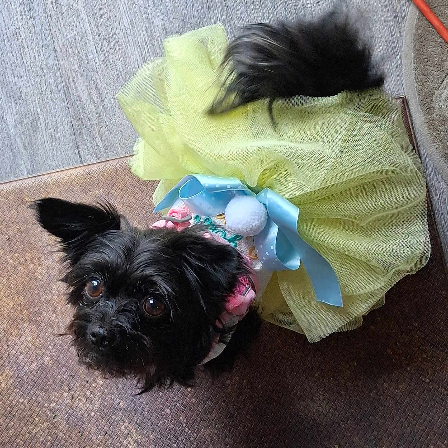 Princess
