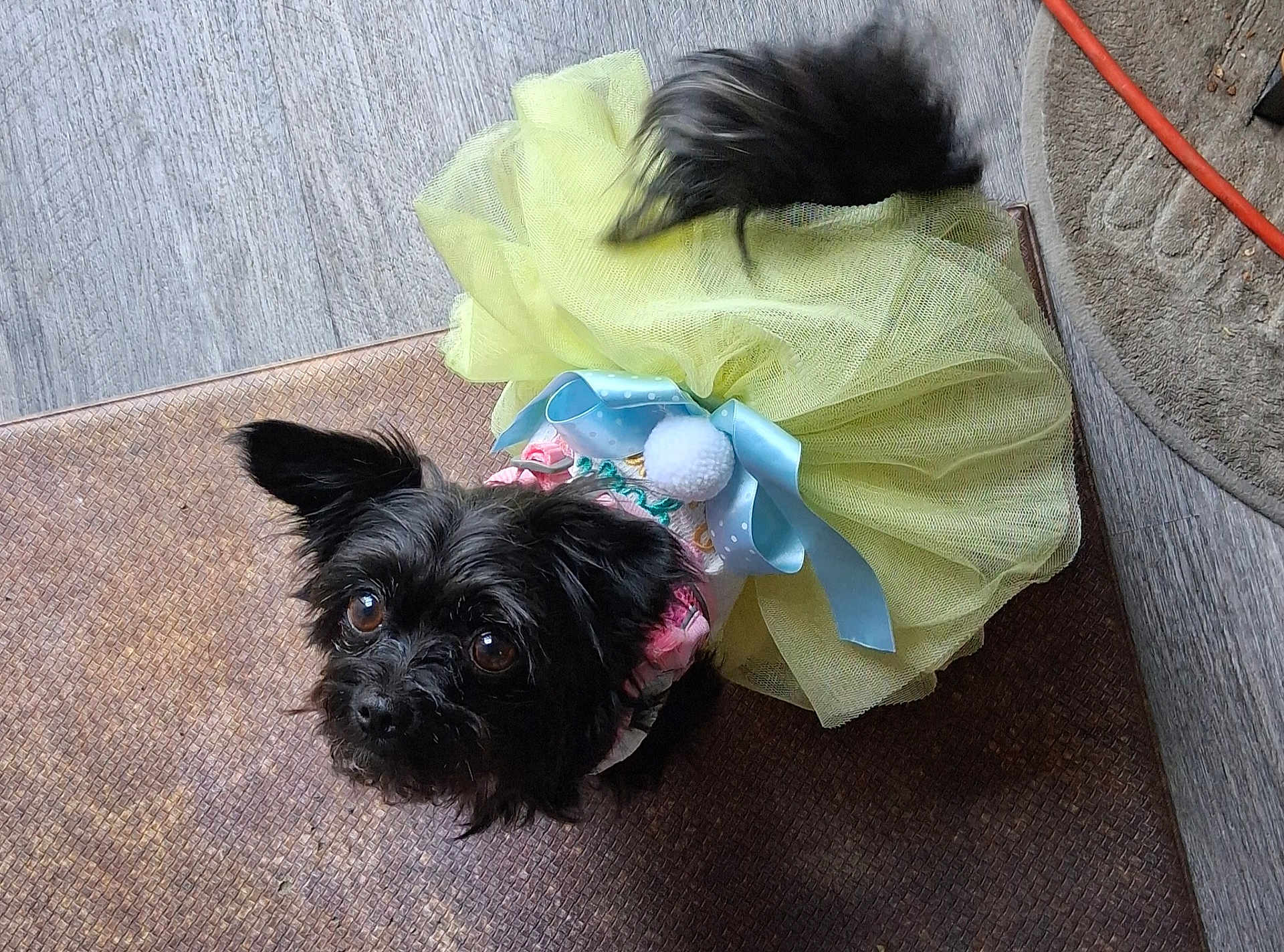 Princess