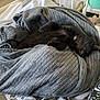 Alaska participe au concours pour gagner de l'argent avec cette photo : kitten, black_cat, blanket, bed, sleeping, cozy, fur, indoor, resting, soft, furniture, basket, relaxation, cute, animal, pet, comfort, fluffy, paws, peaceful