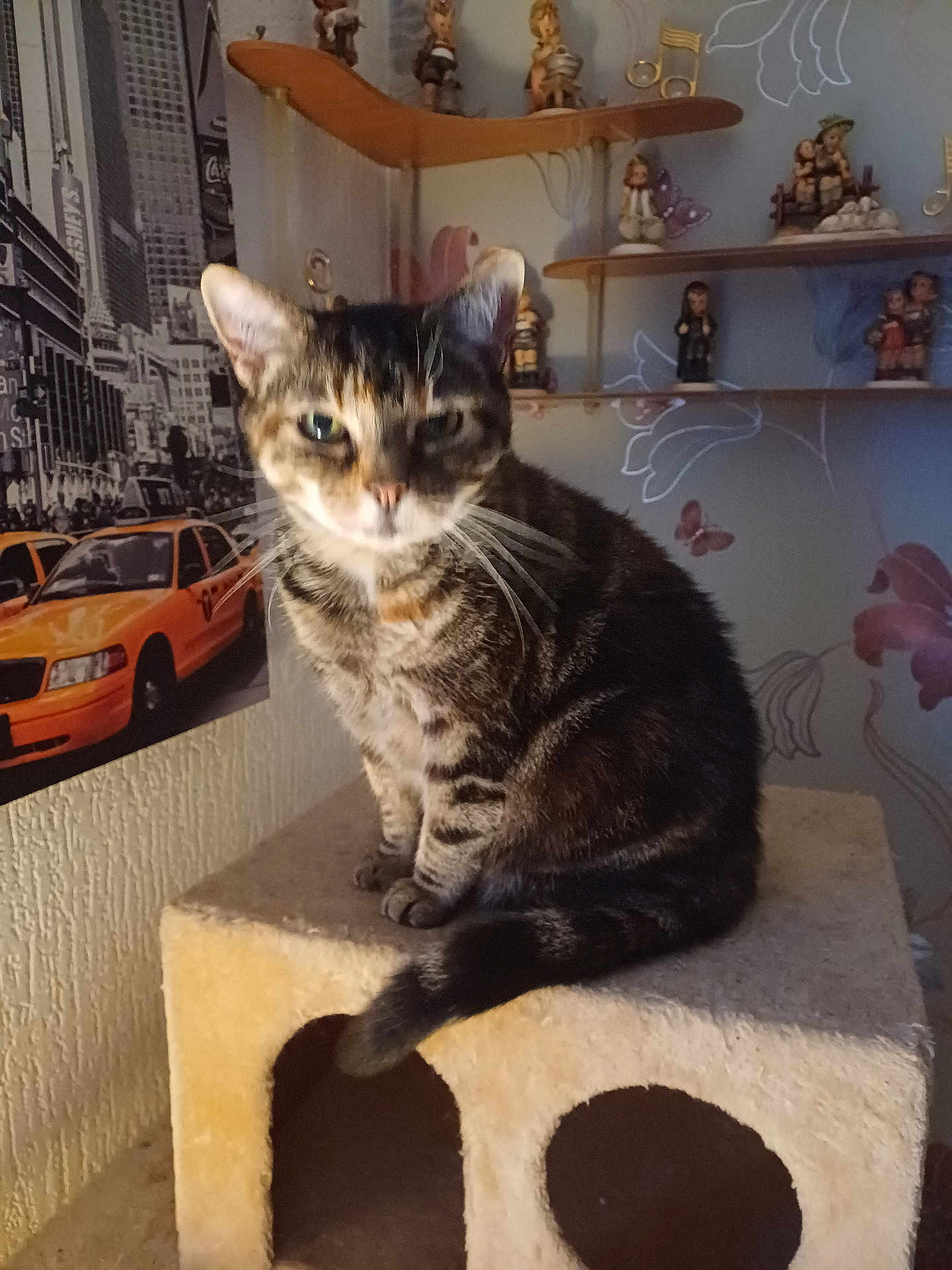Harriet