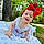 Harley C.