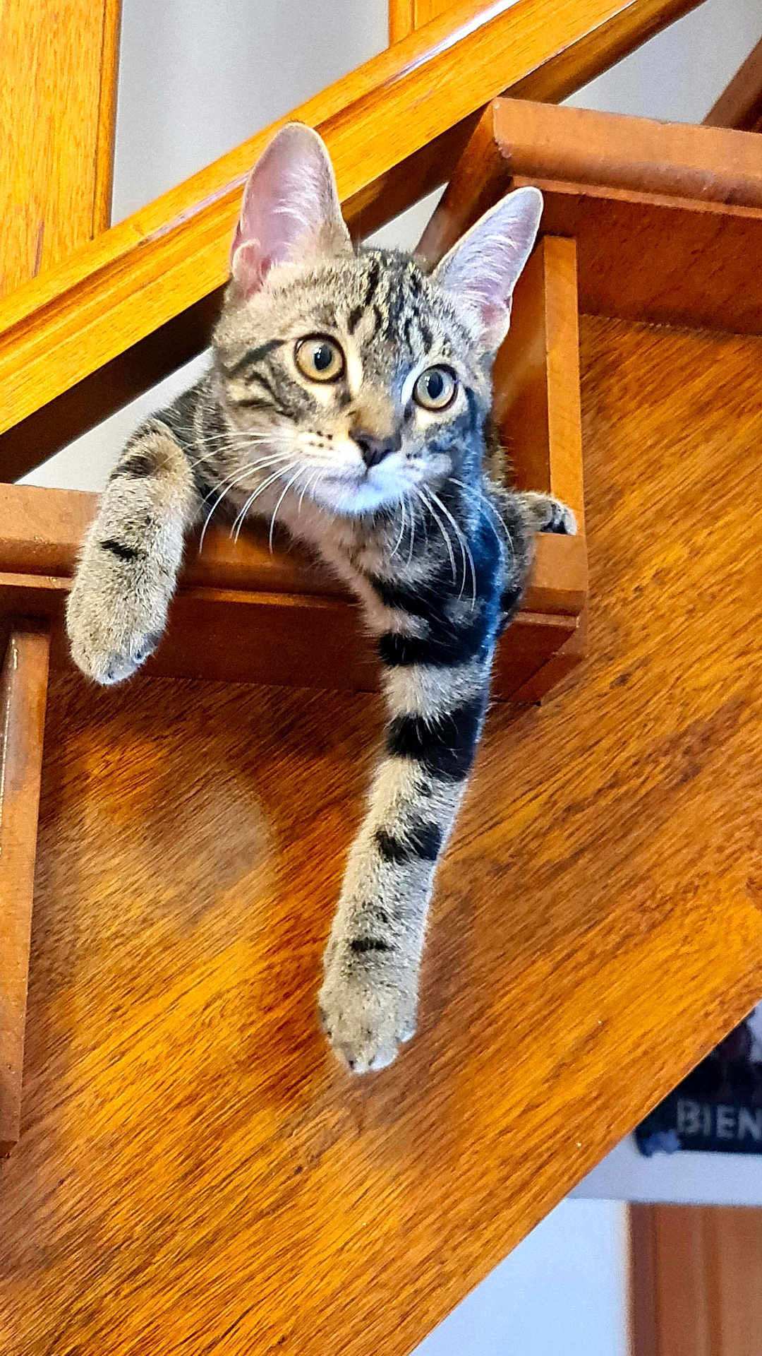 Tigrou