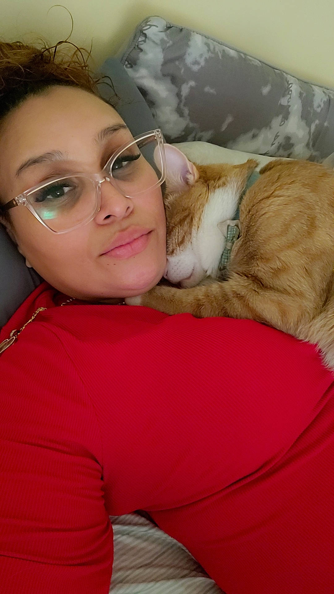 Simba joined the competition — help win amazing prizes! carnivore, cat, comfort, companion_dog, couch, ear, eyelash, eyewear, fawn, felidae, flash_photography, gesture, happy, head, human_leg, long_hair, small_to_medium_sized_cats, thigh, vision_care, whiskers