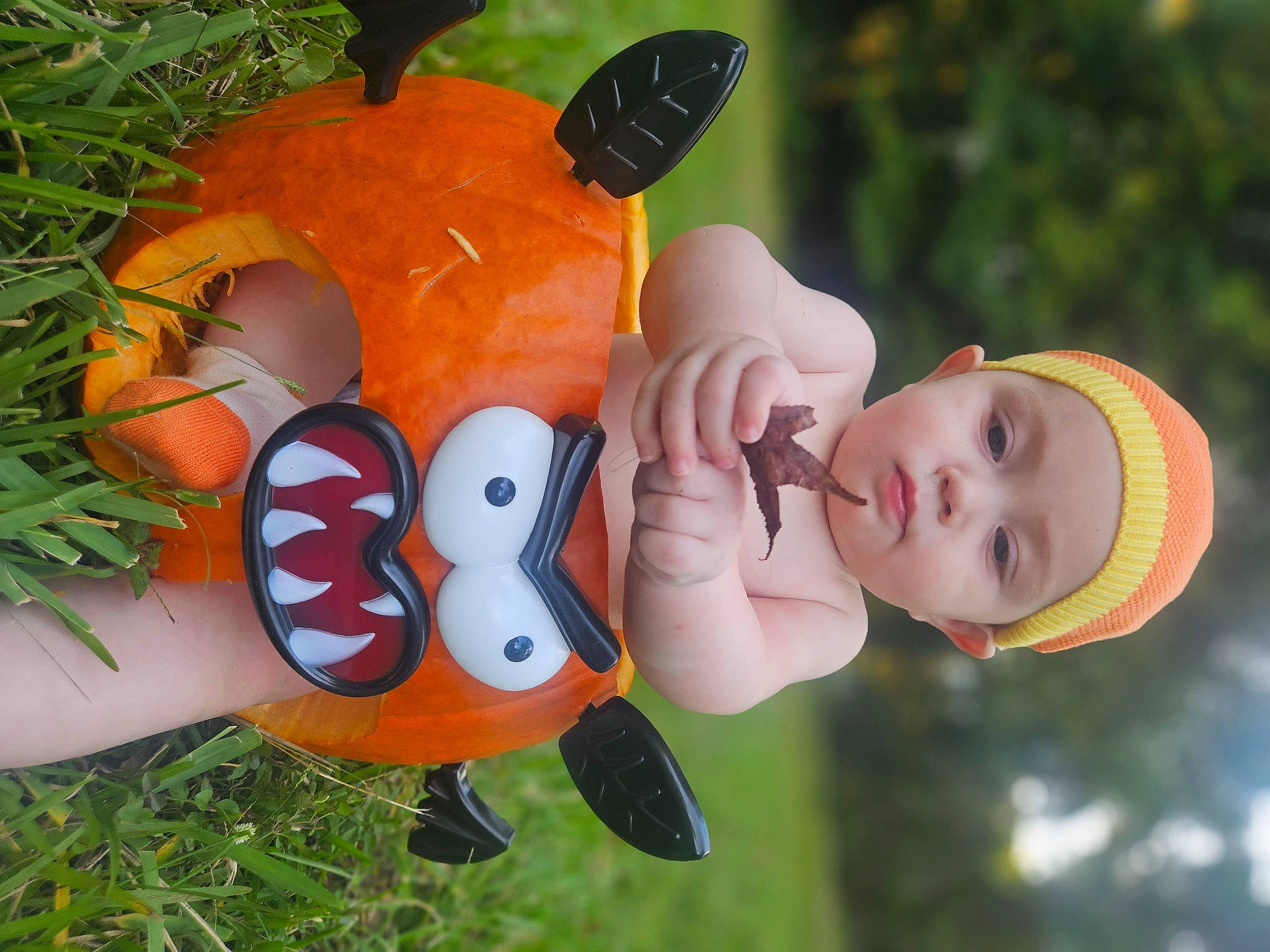 Ezra joined the competition — help win amazing prizes! baby, baby_products, baby_toddler_clothing, calabaza, child, fawn, finger, fun, grass, happy, headwear, lawn_ornament, leisure, orange, people_in_nature, person, plant, plush, stuffed_toy, toddler