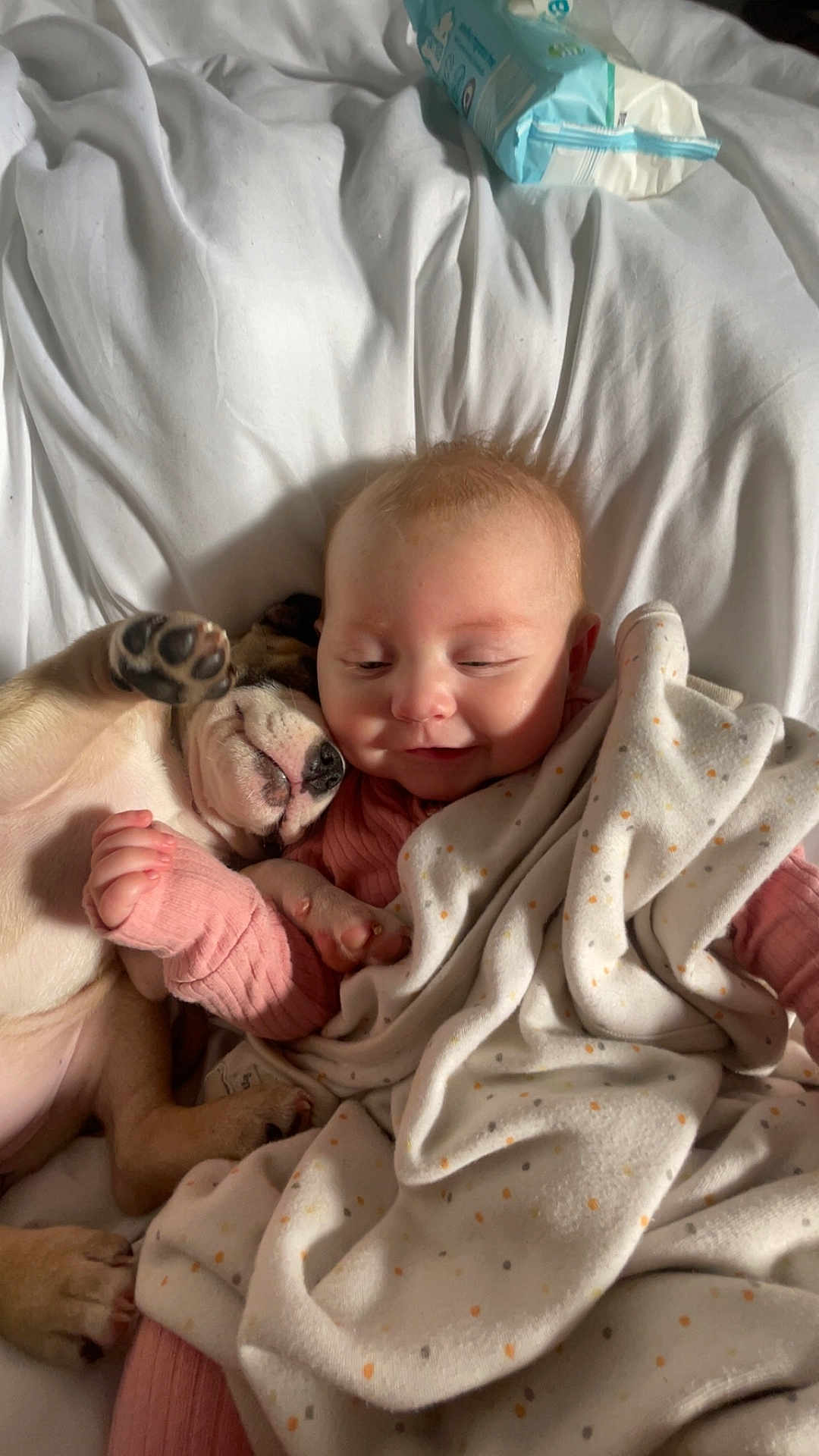 Layla is registered to the contest to win money with this photo: baby, puppy, blanket, bed, sleeping, cuddling, cute, infant, pet, animal, child, resting, soft, warm, comfort, pink_clothing, white_bed, polka_dot, snuggling, adorable