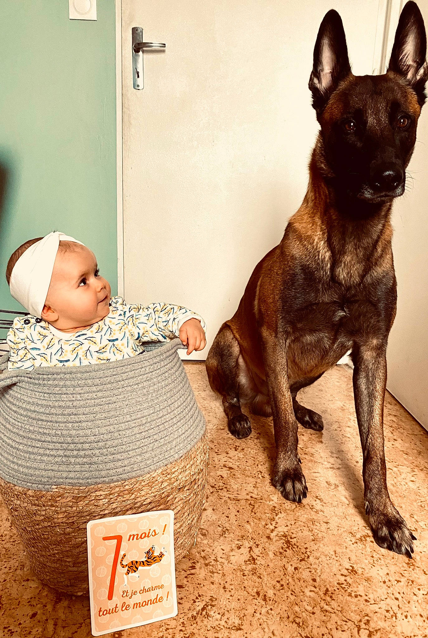 Luna a rejoint le concours — aidez-le/la à gagner de superbes lots ! ancient_dog_breeds, baby, baby_toddler_clothing, bulldog, canidae, carnivore, comfort, companion_dog, dog, dog_breed, fawn, fur, liver, non_sporting_group, person, snout, sporting_group, toddler, toy_dog, working_animal