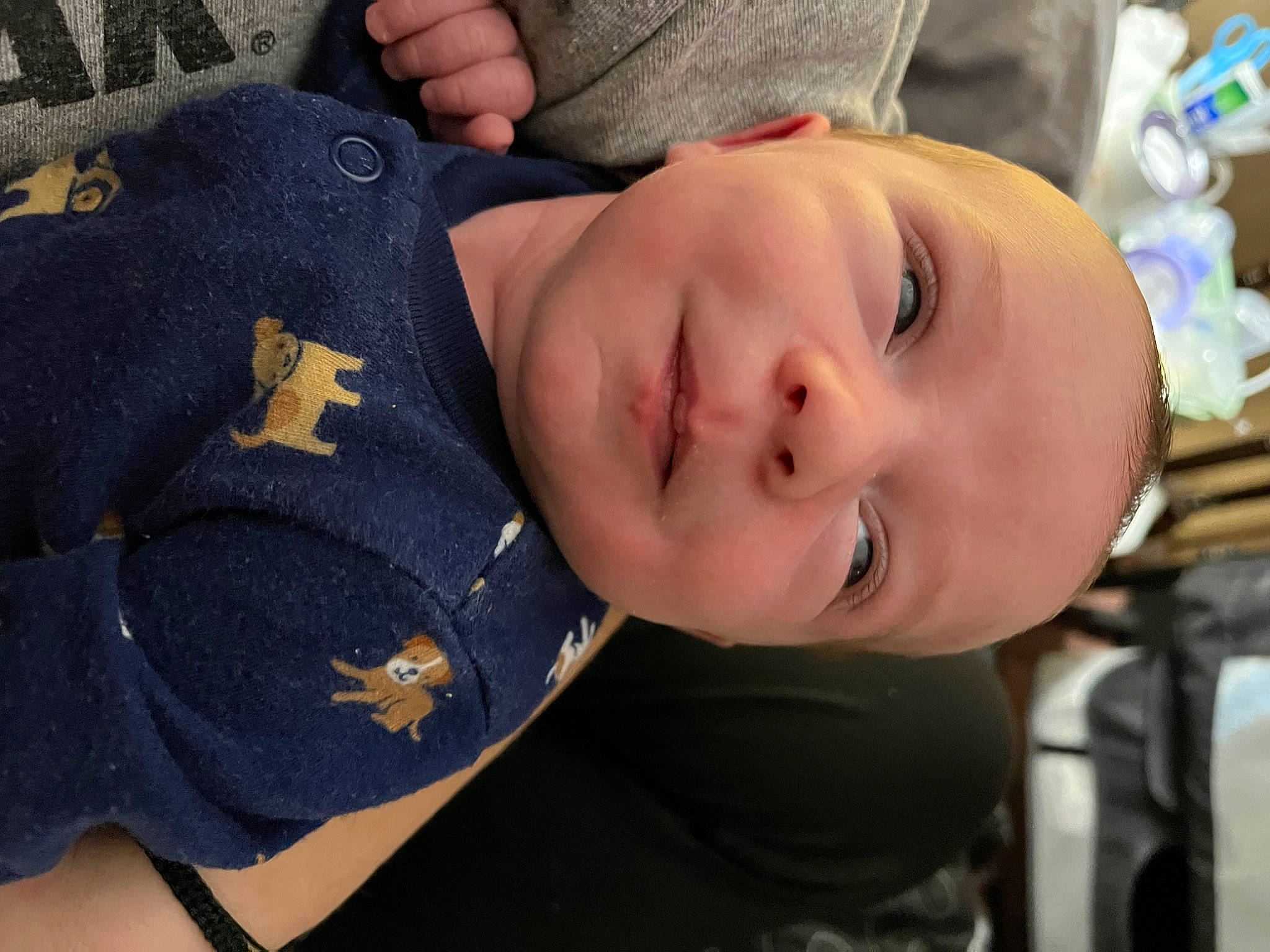 Packston is registered to the contest to win money with this photo: baby, baby_products, baby_toddler_clothing, button, cheek, child, comfort, eye, eyelash, fashion_accessory, happy, hat, joy, pattern, person, portrait_photography, sleeve, smile, toddler, tree