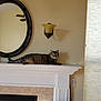cat, tabby_cat, fireplace, mantel, mirror, wall_sconce, chair, cushion, window_blinds, sunlight, indoor, furniture, tile, decor, relaxed, pet, animal, resting, living_room, home