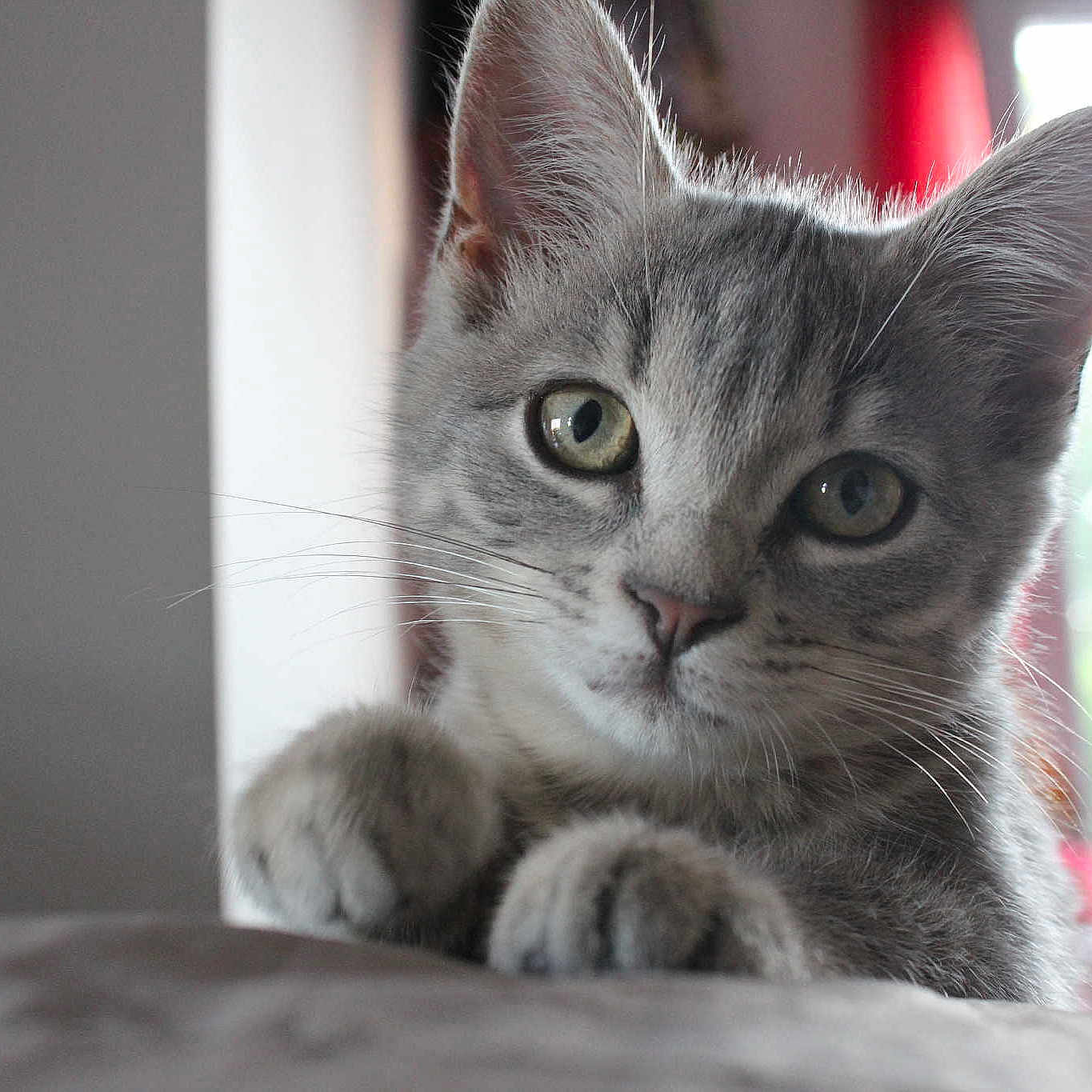 Guiness