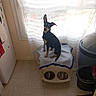 dog, small_dog, black_and_tan, pointy_ears, sitting, pet, kitchen, window, curtains, indoor, feeding_station, food_bowls, water_bowl, tile_floor, refrigerator, trash_bin, household, portrait, backlit, alert