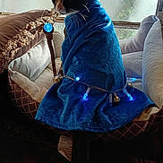 October is registered to the contest to win money with this photo: animal, blue_cloak, blue_hat, cat, costume, cozy, cute, decor, fairy_lights, feline, glowing_orb, indoors, magic, moon, pet_bed, portrait, staff, stars, window, wizard_costume