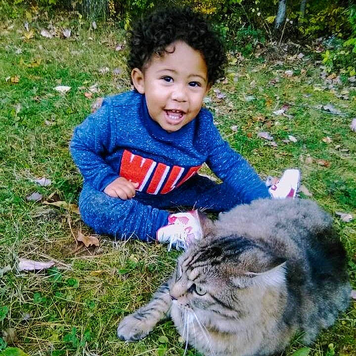Kairan is registered to the contest to win money with this photo: carnivore, cat, child, domestic_short_haired_cat, facial_expression, fawn, felidae, grass, happy, joy, laugh, lawn, person, plant, play, small_to_medium_sized_cats, smile, tabby_cat, toddler, wild_cat