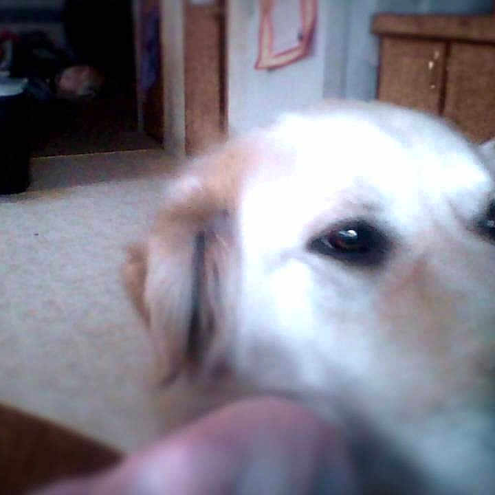 Mao joined the competition — help win amazing prizes!