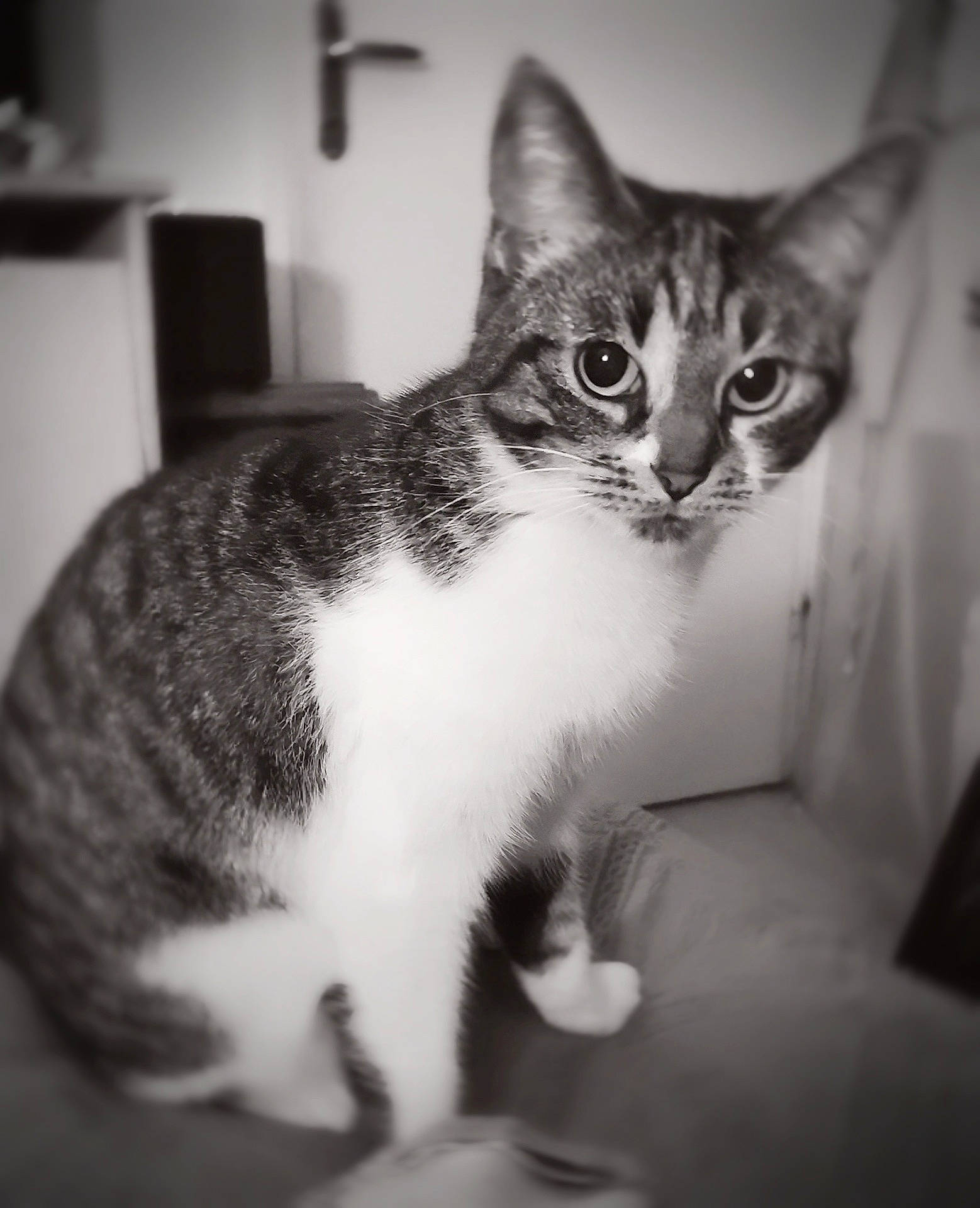 Xena