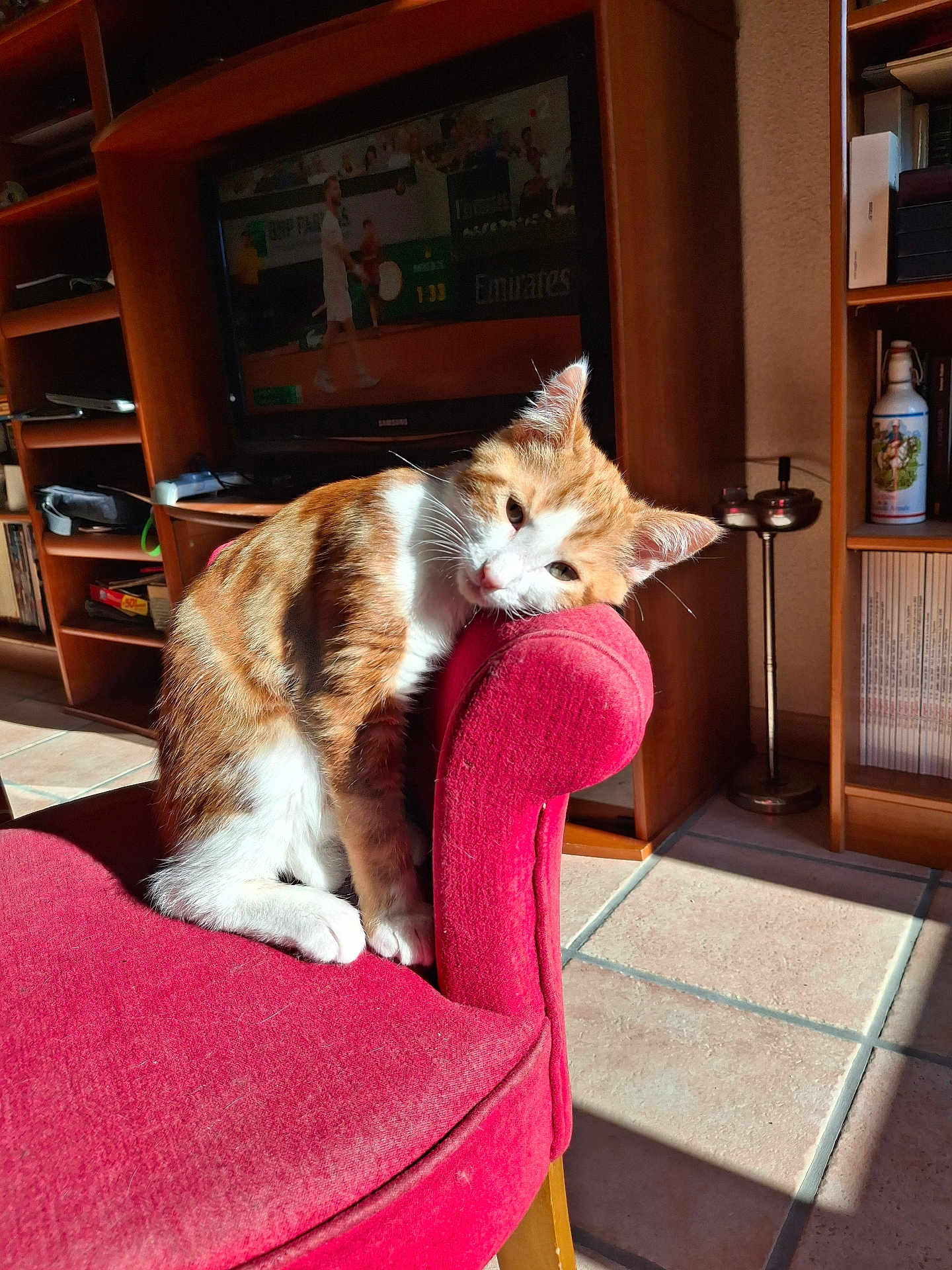 Simba