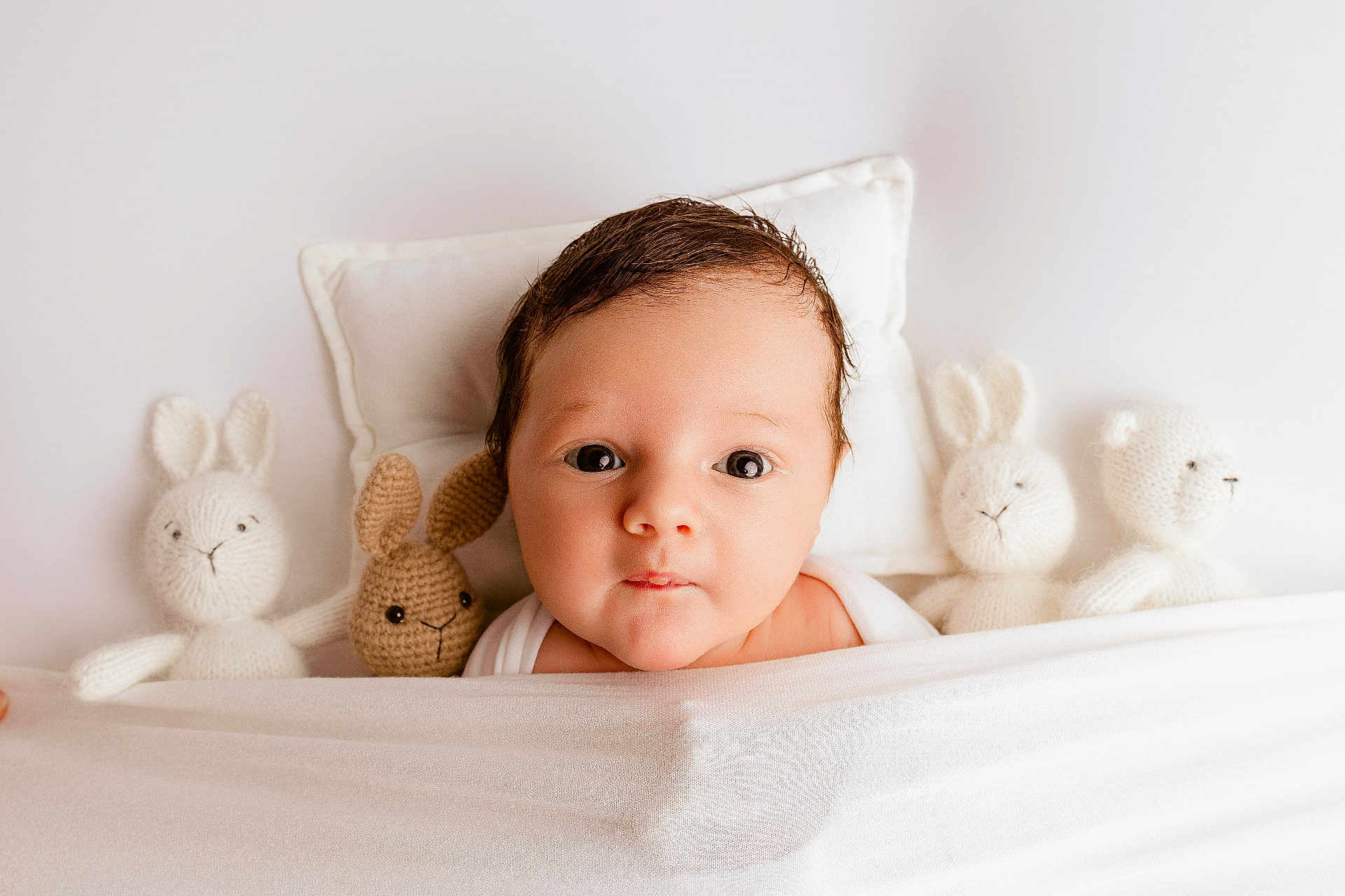 Livio participe au concours pour gagner de l'argent avec cette photo : baby, infant, blanket, knitted_toys, stuffed_animals, bunny, bear, pillow, cute, portrait, face, indoors, soft_lighting, white_background, child, newborn, cozy, sleeping_area, wrapped, resting