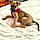 Scooby Doo