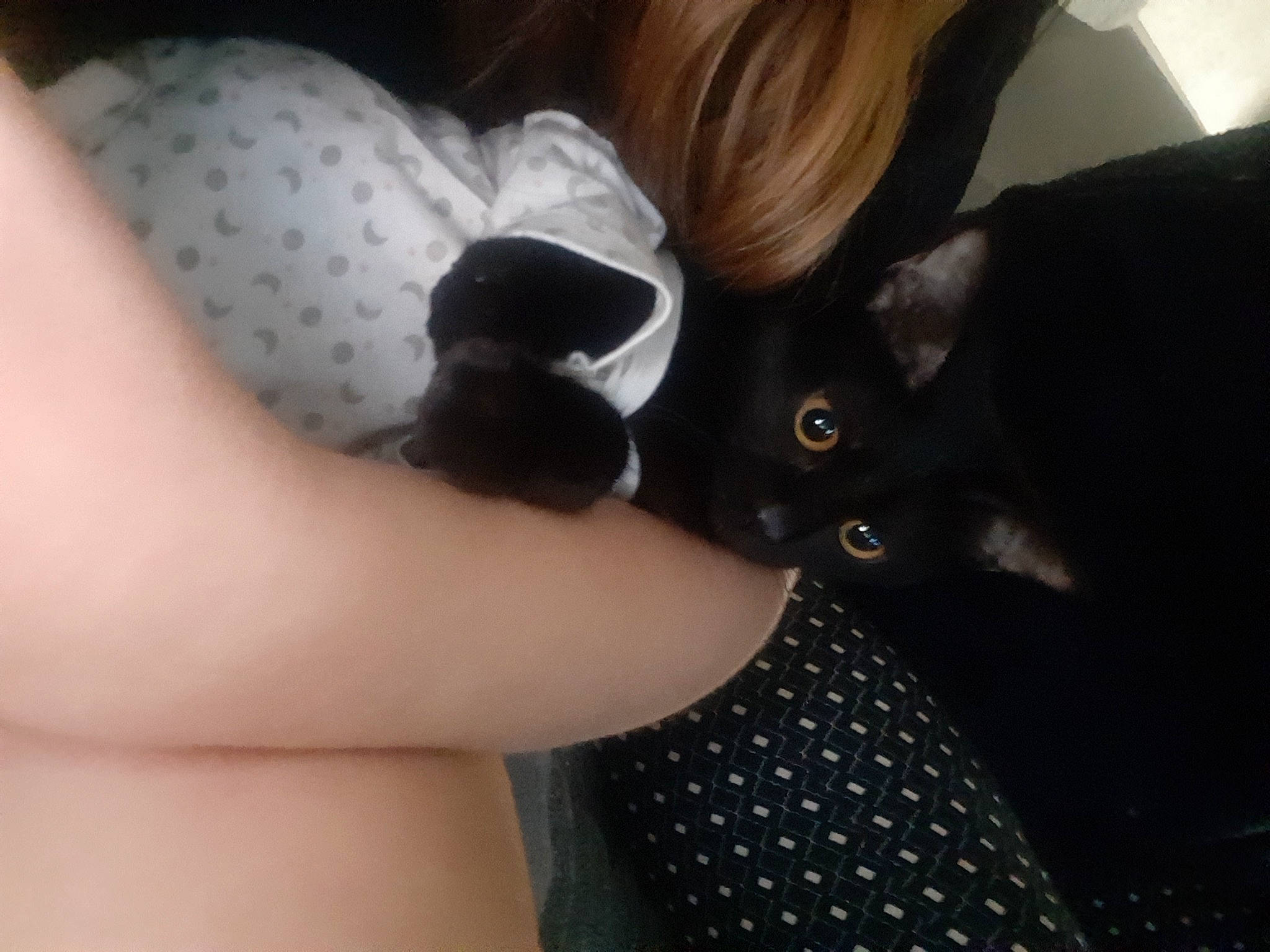 Bonnie participe au concours pour gagner de l'argent avec cette photo : arm, black_hair, carnivore, cat, cool, dress, ear, felidae, finger, gesture, hand, human_body, joint, mammal, nail, neck, sleeve, textile, thigh, vertebrate