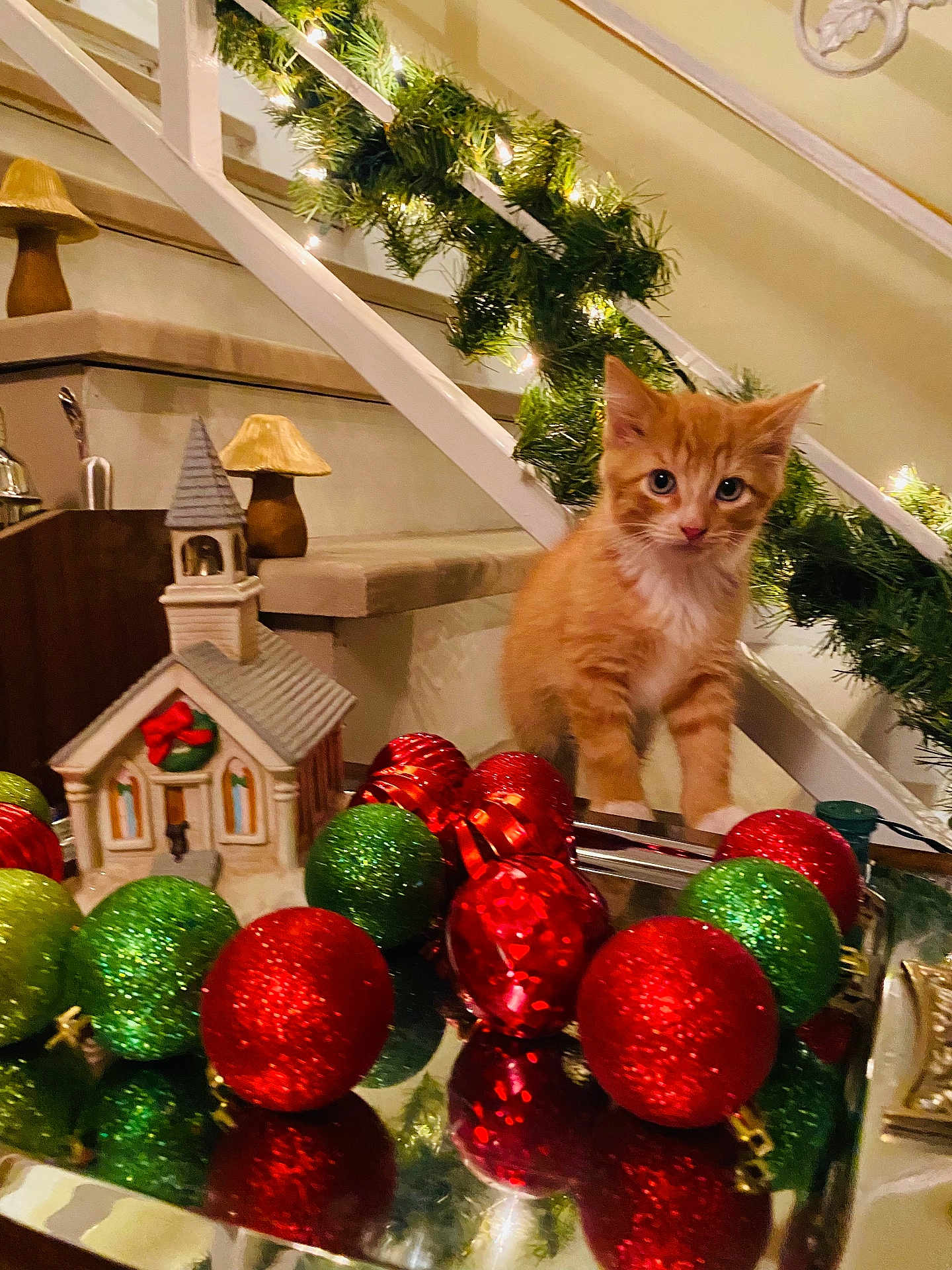 Bacon Boy joined the competition — help win amazing prizes! kitten, cat, orange_cat, christmas_ornaments, holiday_decor, garland, christmas_lights, miniature_church, staircase, indoor, decorations, festive, reflection, cute, pet, furniture, table, holiday, warm_lighting, curious