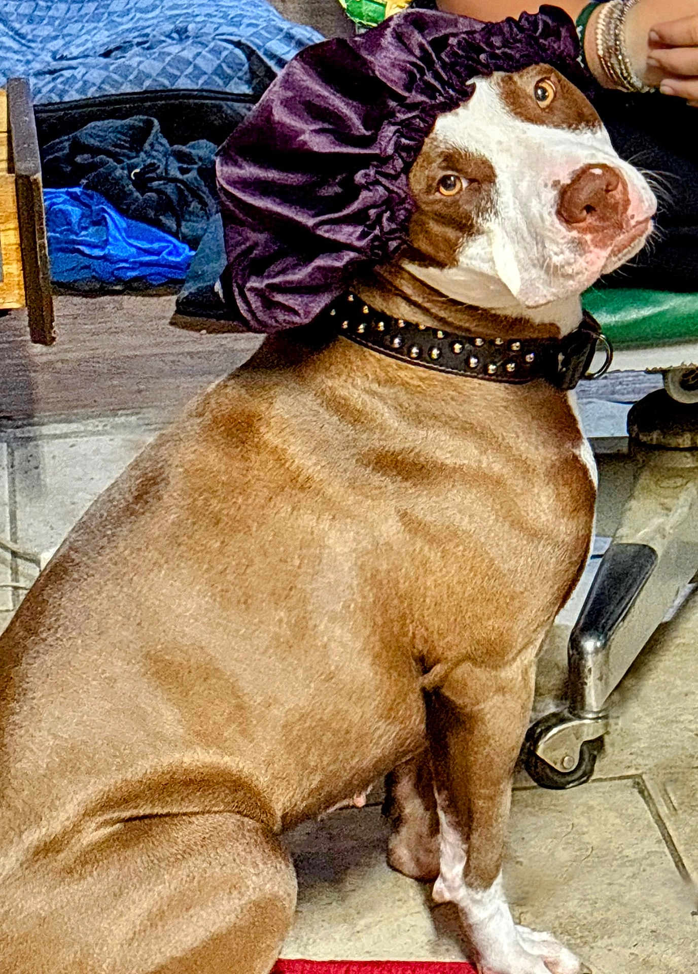 Zoey