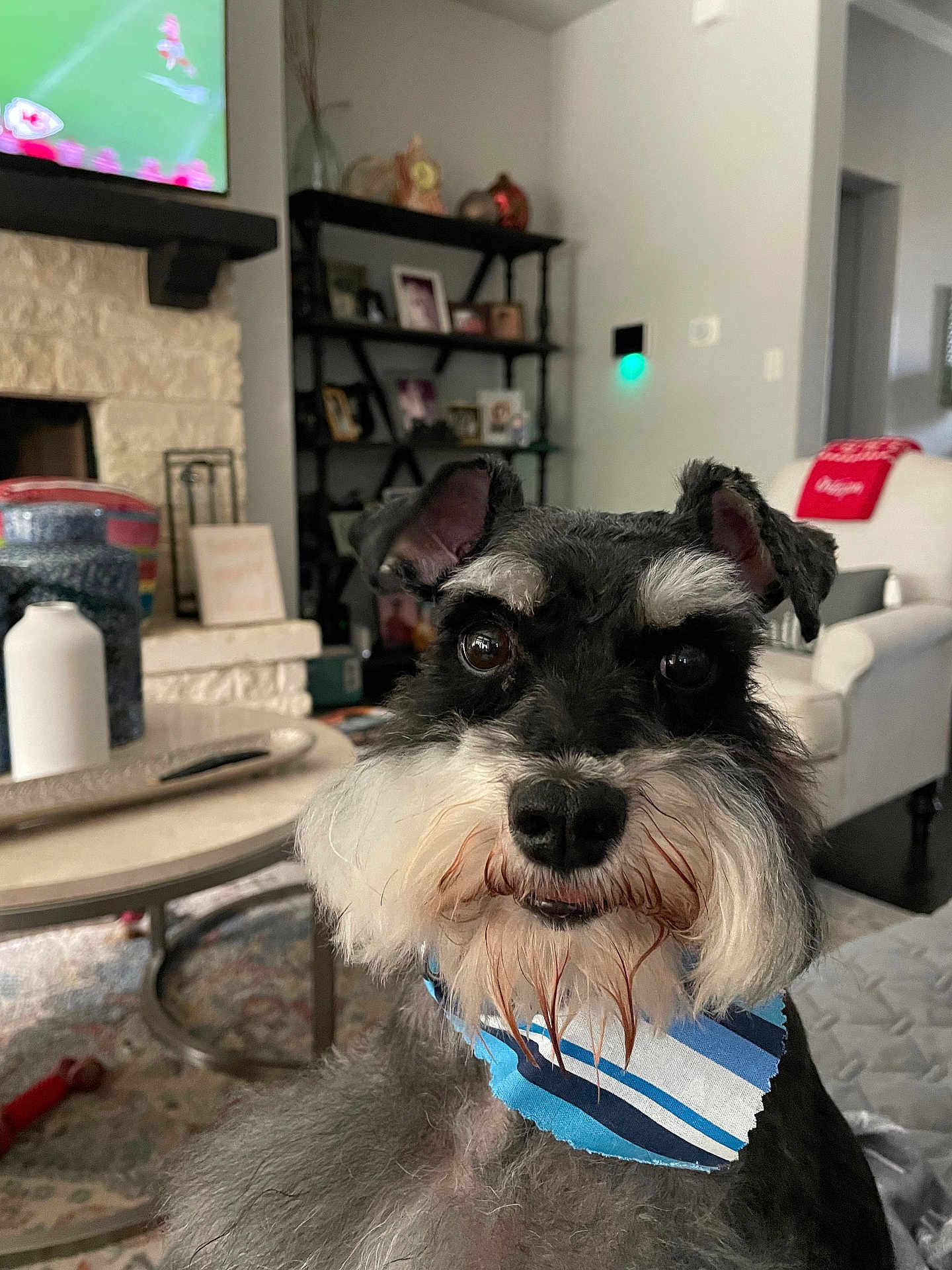 Cooper