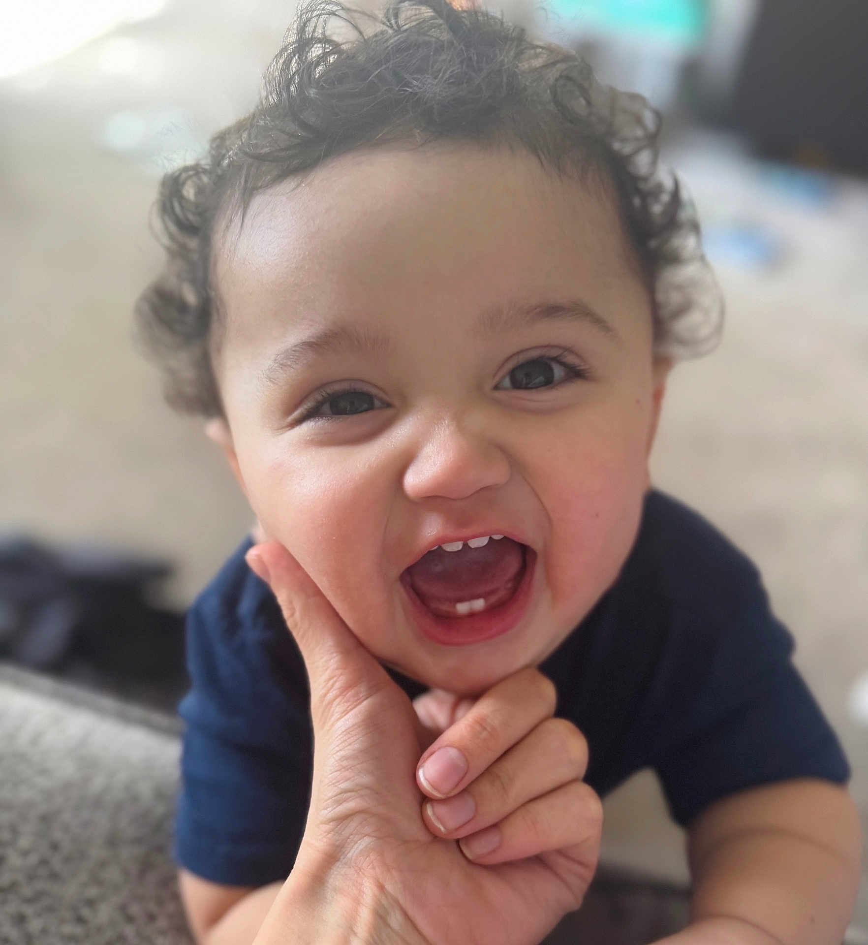 Dario