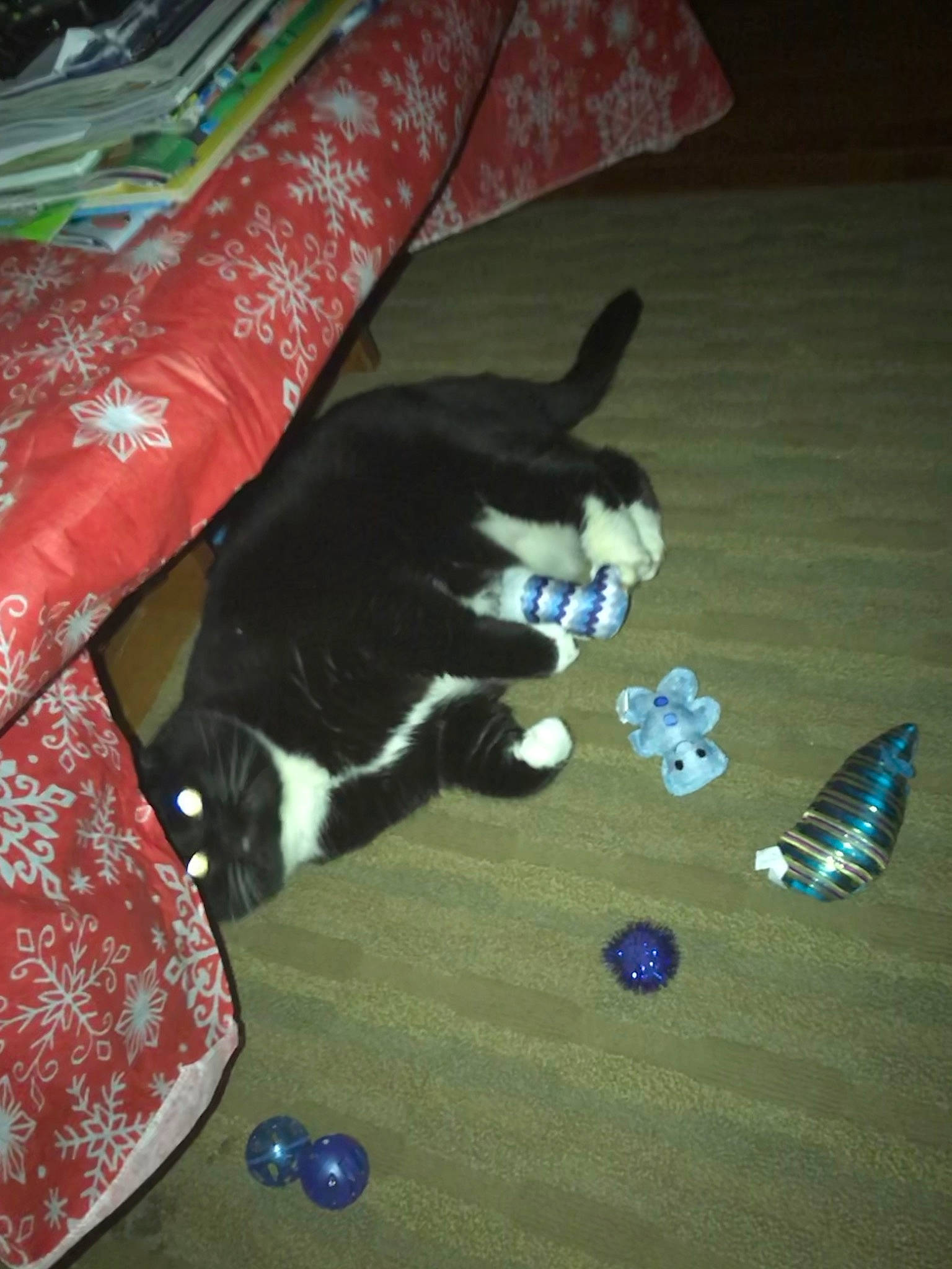 Katie joined the competition — help win amazing prizes! carmine, carnivore, cat, comfort, dog_breed, domestic_short_haired_cat, electric_blue, felidae, flooring, fur, grass, hardwood, human_leg, pattern, paw, room, small_to_medium_sized_cats, tail, whiskers, wood