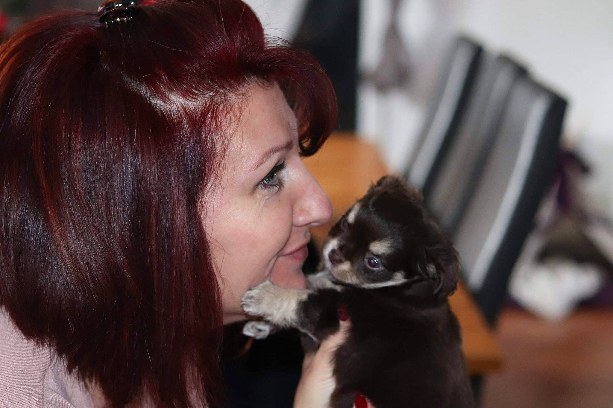 Pumbaa participe au concours pour gagner de l'argent avec cette photo : black_hair, brown_hair, canidae, carnivore, cheek, companion_dog, dog, dog_breed, ear, fur, hair, hair_coloring, hairstyle, lip, long_hair, mouth, nose, puppy, puppy_love, smile