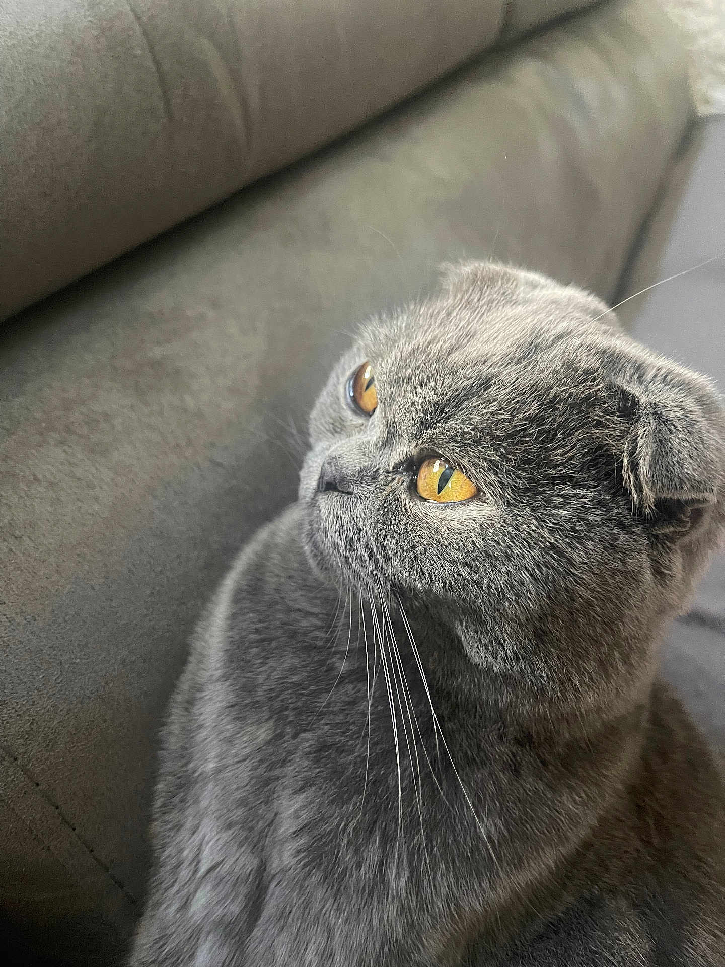 Nalla