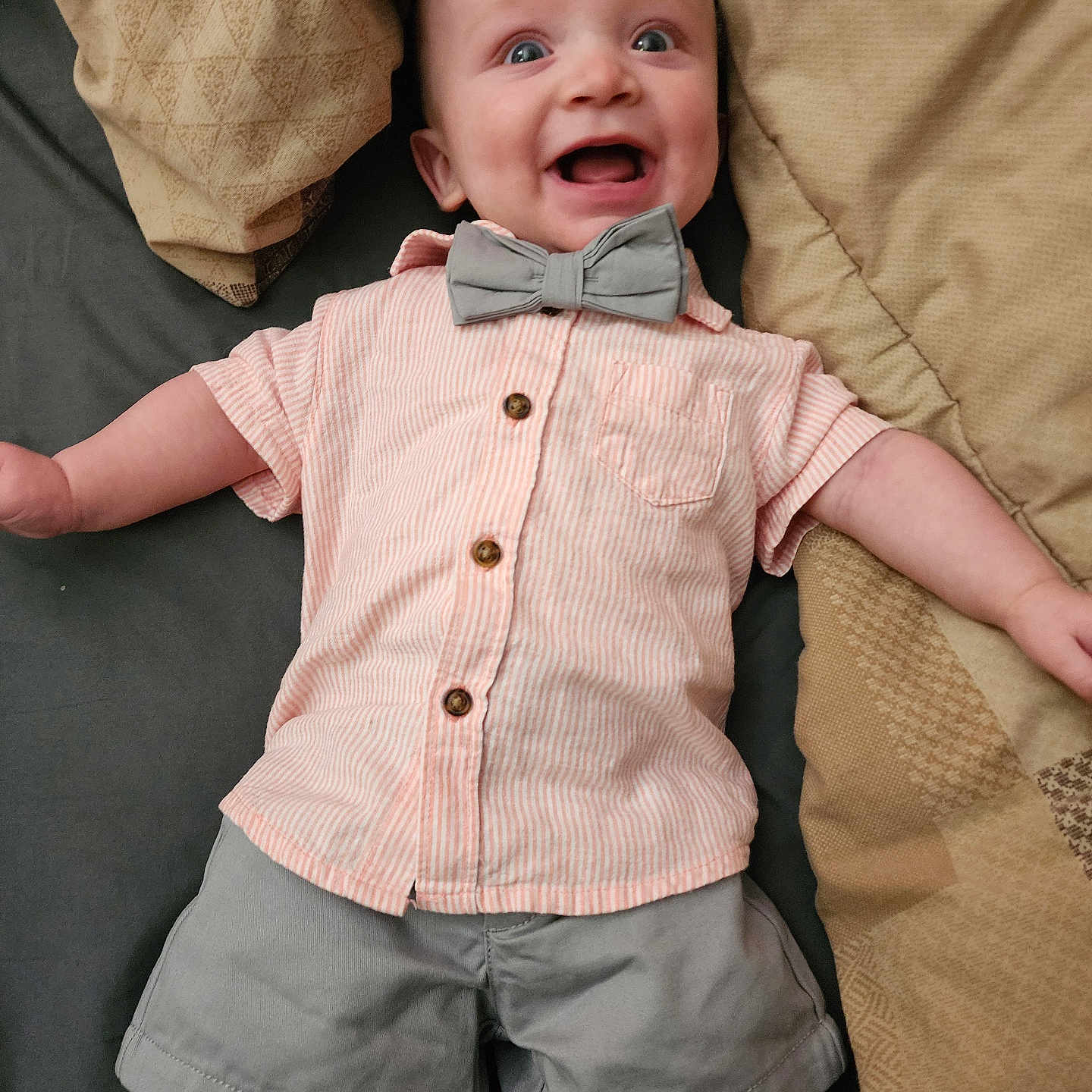 Abel joined the competition — help win amazing prizes! accessories, baby, bodypart, clothing, couch, face, finger, formalwear, furniture, hand, happy, head, homedecor, pants, person, photography, portrait, shirt, shorts, tie