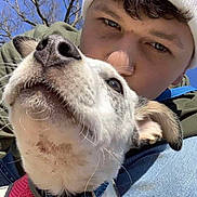 Aphrodite is registered to the contest to win money with this photo: dog, person, nose, face, outdoor, sky, tree, close_up, pet, animal, canine, young_adult, casual_clothing, hat, collar, daylight, blue_sky, nature, affection, portrait