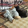 animal, black_cat, carpet, cat, cozy, curtain, decor, fabric, floor, furry, home, indoor, lying_down, patterned, pet, relaxed, rug, soft, stuffed_animal, wood_floor
