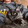 animal, black_cat, casual, cat, close_up, companion, couch, fluffy_cat, furniture, home, hoodie, indoor, light_hair, person, pet, portrait, relaxed, seated, snuggling, yellow_eyes