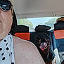 backseat, black_dog, car, dog, happy, hat, headrest, interior, leather_seat, orange, person, polka_dot, road, scarf, seat, sunglasses, sunlight, tongue_out, trees, window