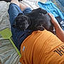 animal, bed, bedding, black_dog, casual, comfort, denim_shorts, dog, fly_swat, footwear, hand, home, indoor, orange_shirt, person, pet, pillow, relaxing, resting, tattoo