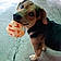 Balou