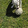 dog, white_dog, soccer_ball, grass, outdoor, pet, playing, collar, sunlight, shadow, animal, canine, nature, daytime, greenery, active, ball, fun, sport, cheerful