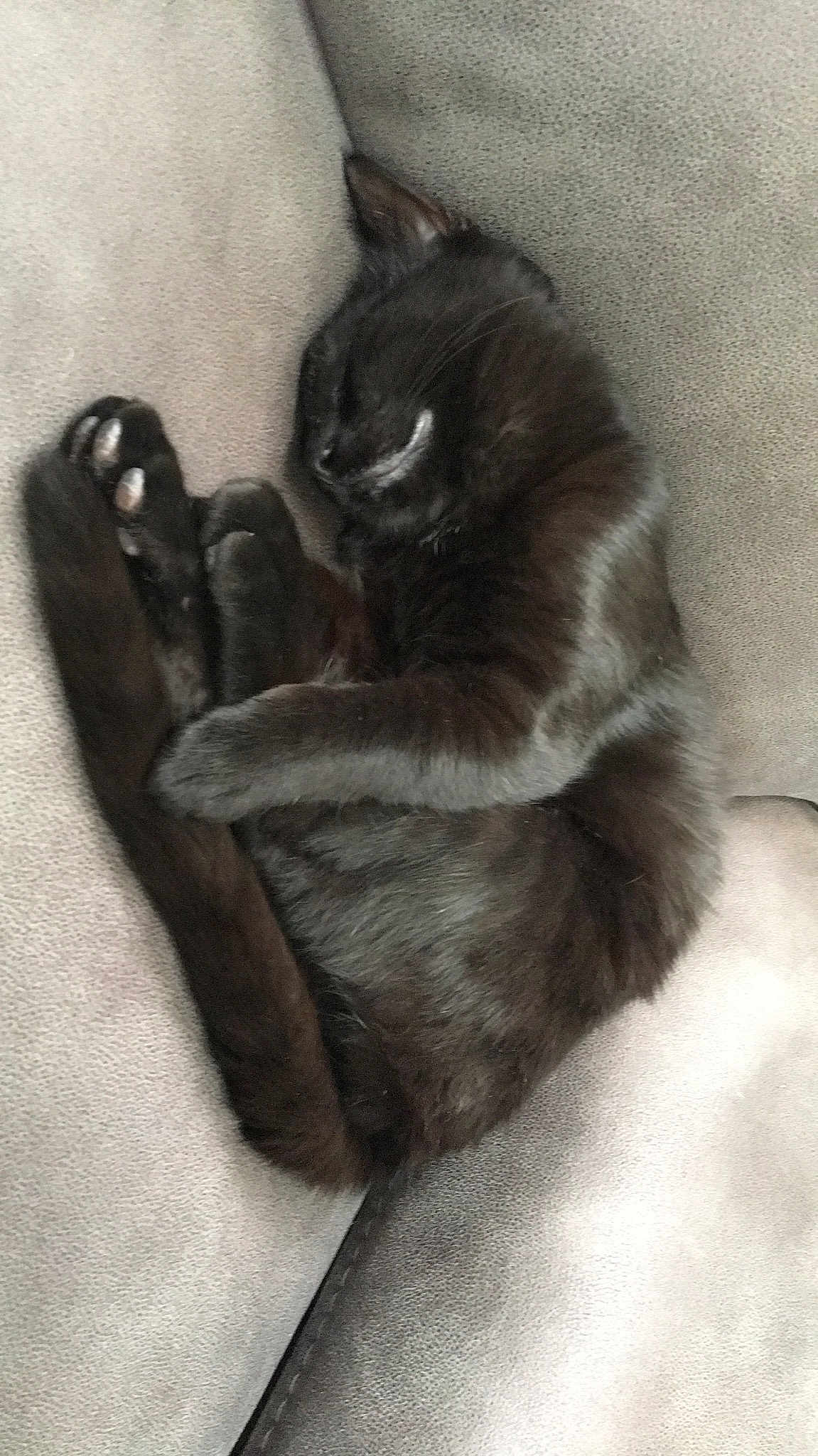 Onyx