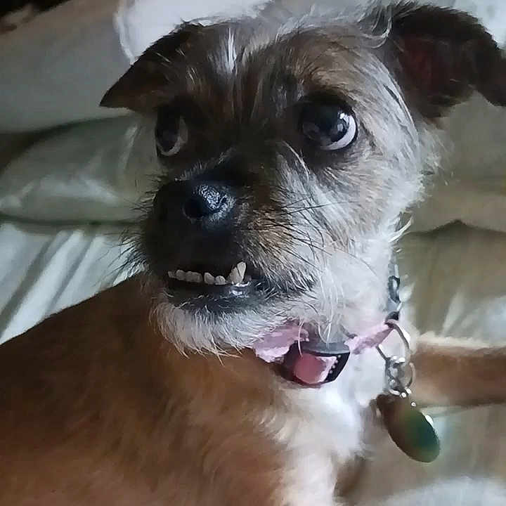Bella