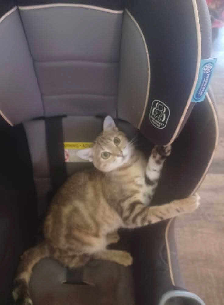 Mimi