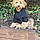 Ozzie