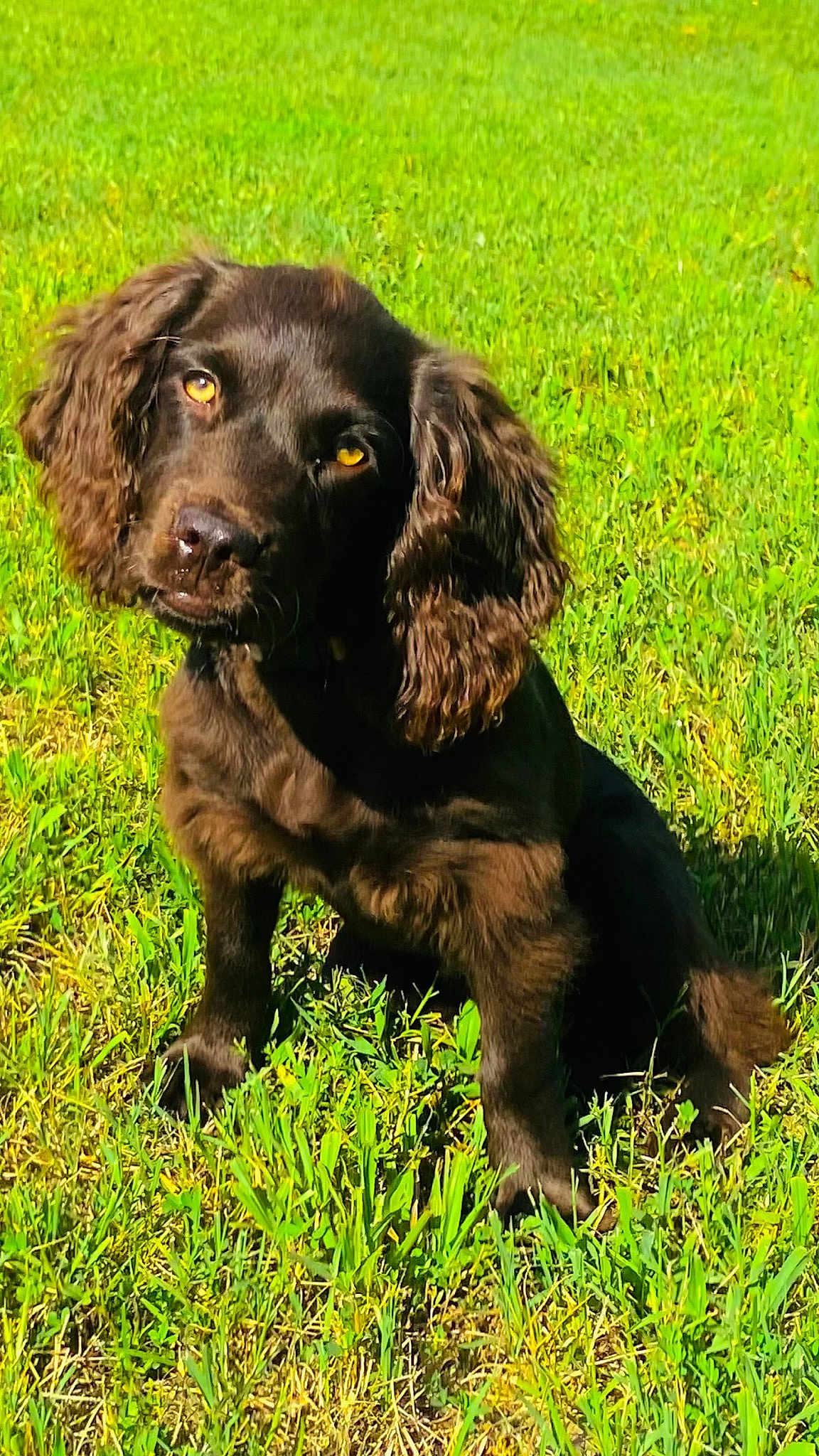 Oakley