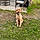 Toby