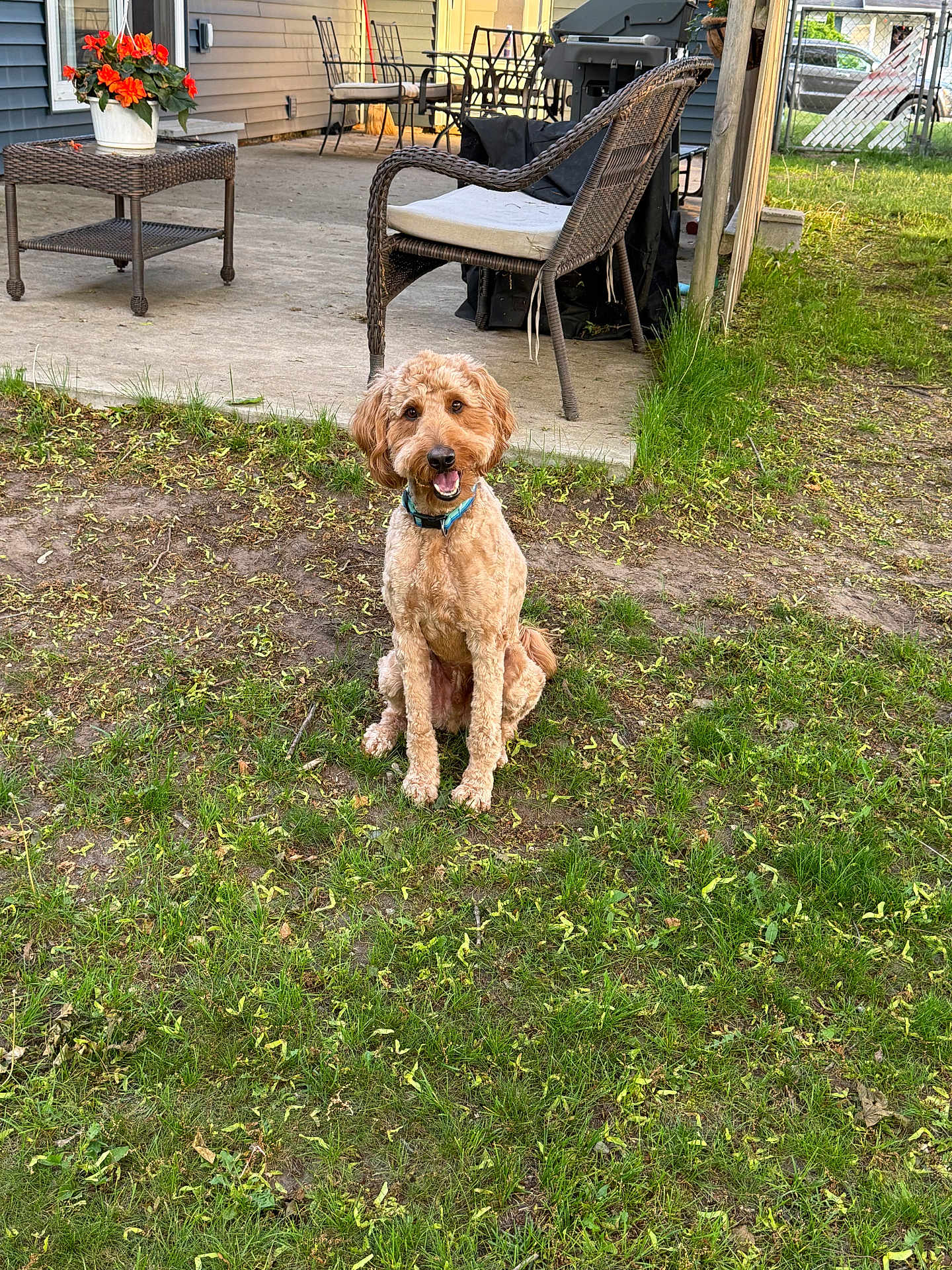 Toby