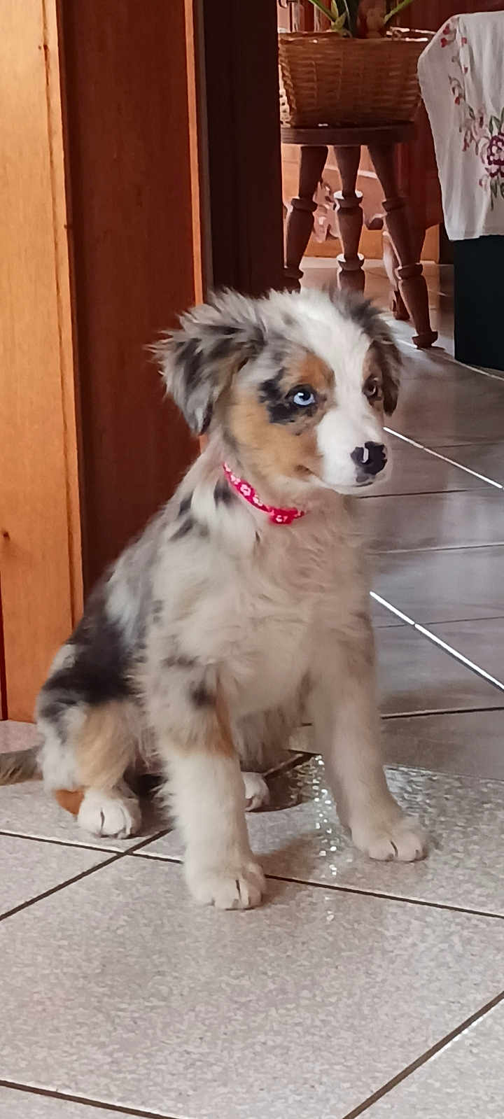 Abby