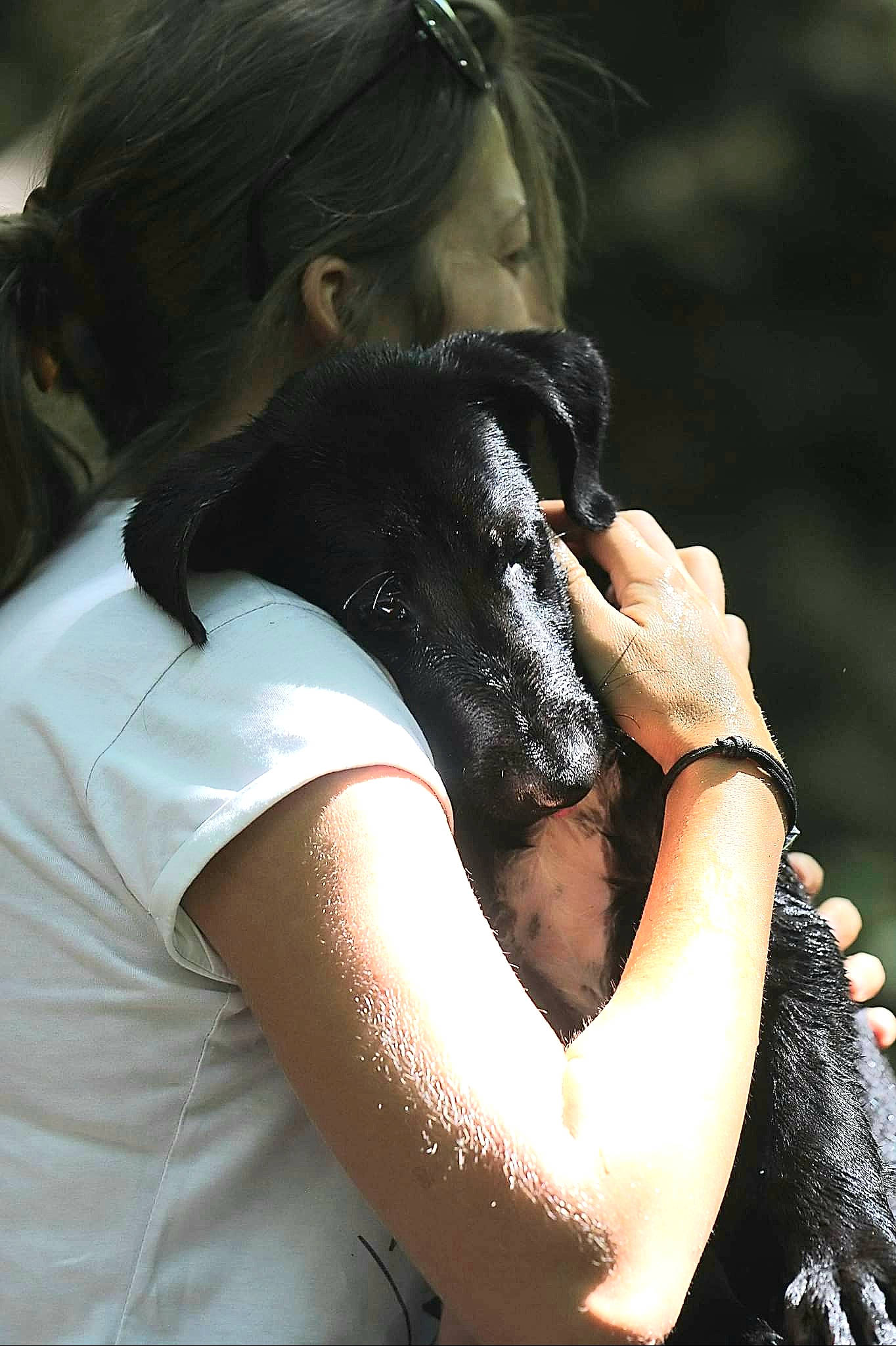 Balto a rejoint le concours — aidez-le/la à gagner de superbes lots ! audio_equipment, black_hair, carnivore, companion_dog, dog, dog_breed, ear, elbow, eyewear, fashion_accessory, flash_photography, gesture, happy, jaw, jewellery, nail, shoulder, snout, street_fashion, working_animal