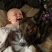 Cooper is registered to the contest to win money with this photo: baby, dog, blanket, bed, indoor, smiling, snuggling, cozy, fur, animal, child, companion, friendship, warmth, comfort, head, face, resting, pet, together